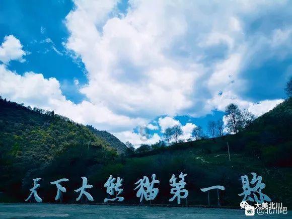 胖小猫救援